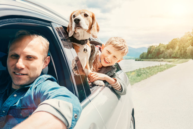 Dad, son and dog in car_new home checklist